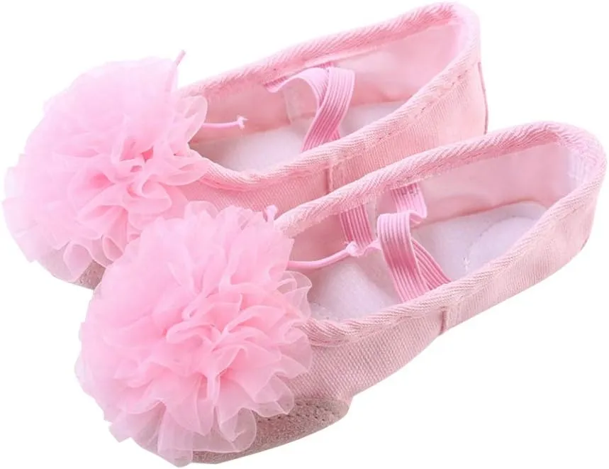 EXCEART 1 Pair Dance Shoes Jazz Shoes Yoga Footwear Ballet Shoes Socks Girls Slide Sandals Canvas Flats for Women Dancing Shoes Pocket Shoes The Flowers Yoga Shoes Set